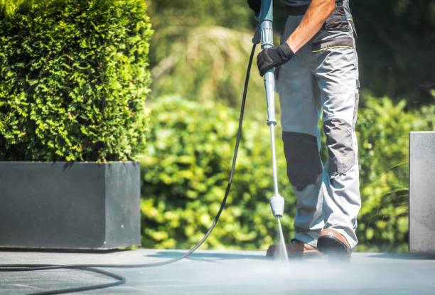 Best Driveway Pressure Washing  in Sierra Madre, CA