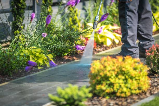Best Sidewalk and Walkway Cleaning  in Sierra Madre, CA
