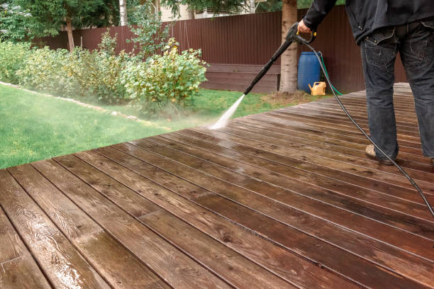 Best Soft Washing  in Sierra Madre, CA